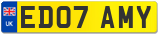 ED07 AMY