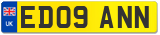 ED09 ANN