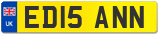 ED15 ANN