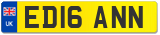 ED16 ANN