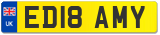 ED18 AMY