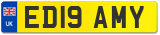 ED19 AMY