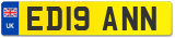 ED19 ANN