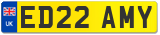 ED22 AMY