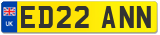 ED22 ANN