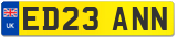 ED23 ANN