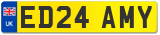 ED24 AMY