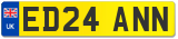 ED24 ANN