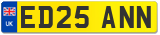 ED25 ANN