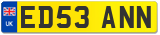 ED53 ANN