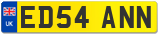 ED54 ANN