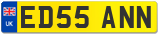 ED55 ANN