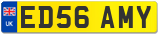 ED56 AMY