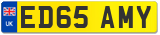 ED65 AMY