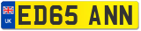 ED65 ANN