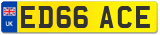 ED66 ACE