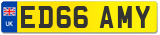 ED66 AMY