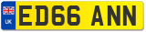 ED66 ANN