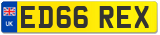 ED66 REX