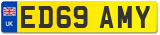 ED69 AMY