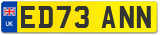 ED73 ANN