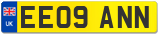 EE09 ANN