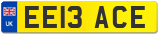 EE13 ACE