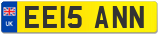 EE15 ANN