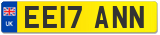 EE17 ANN