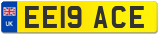 EE19 ACE