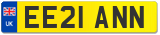 EE21 ANN