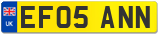 EF05 ANN