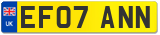 EF07 ANN