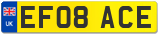 EF08 ACE