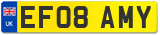 EF08 AMY