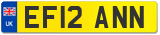 EF12 ANN