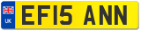 EF15 ANN