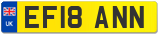 EF18 ANN