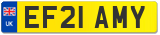 EF21 AMY