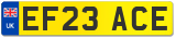 EF23 ACE