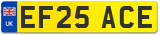 EF25 ACE