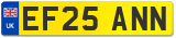 EF25 ANN