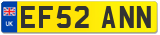 EF52 ANN