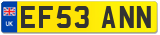 EF53 ANN