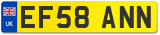 EF58 ANN