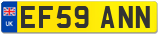 EF59 ANN