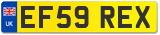 EF59 REX