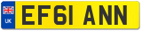 EF61 ANN