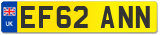 EF62 ANN