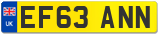 EF63 ANN